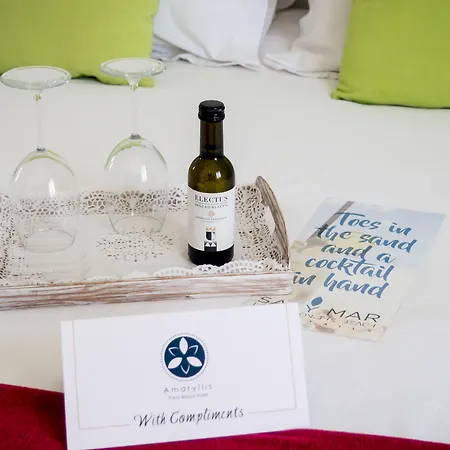 Hotel Amaryllis Beach Chrisi Akti (Paros)