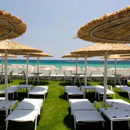 Amaryllis Beach Hotel Chrisi Akti (Paros)