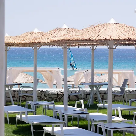 Amaryllis Chrisi Akti (Paros)