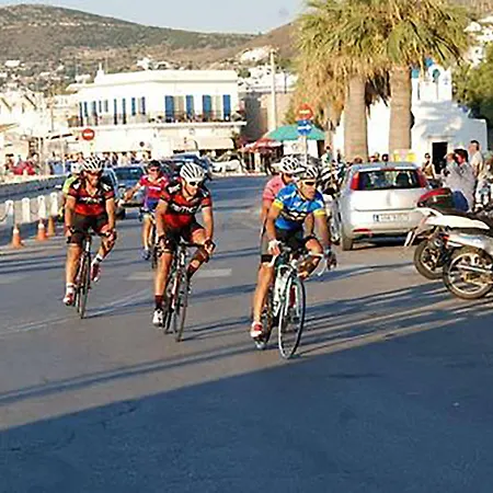 Amaryllis Chrisi Akti (Paros)