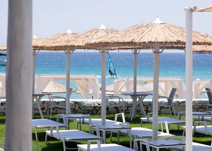 Amaryllis Χρυσή Ακτή