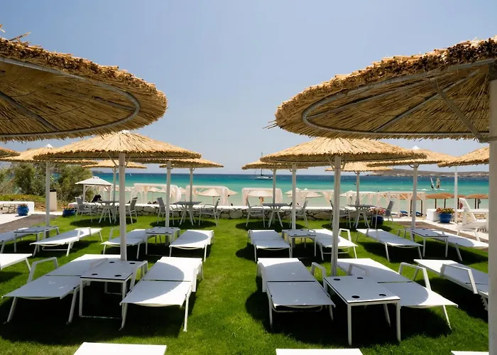 Amaryllis Χρυσή Ακτή